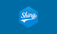 create a custom rshiny app or dashboard for your business
