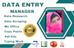 provide you professional data entry work for your services