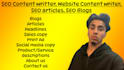 be your SEO content writer
