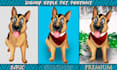 turn your beloved pet into a disney cartoon portrait