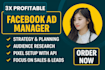 be your beneficial facebook ads manager
