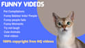 create 60 viral funny pet videos for your youtube channel