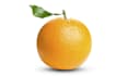clipping path,wrinkle remove,deepetch,cut out image,remove object,mask,retouch