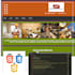 do any HTML CSS java script assignments and projects