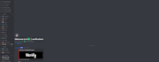 create a fully equipped discord server for your nft project