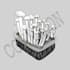 draw an illustration picture
