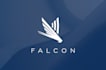 beautiful flat logo design with all files in 24h