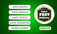 be your virtual assistant for data entry, web research