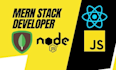 mern bug fixer and developer