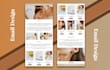 design responsive mailchimp email template newsletter