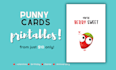create funny valentine day card, greeting, birthday, easter
