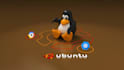 setup your vps linux to hosting your website