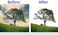 photo editing,do background removal, hair masking, cut out images