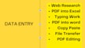 do data entry , web research,  copy paste, PDF convert excel