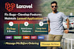 fix bugs and maintain your laravel application