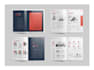 design a professional business white paper for you