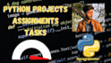 do python based projects, API development and bug fixes