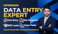 do excel data entry, copy paste, and web research