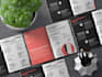 design a professional company profile, brochure and catalog or booklet