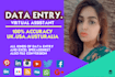 do quickly inputting data entry in 12hours