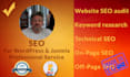 do SEO joomla or wordpress professional service