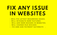 fix any issue in website