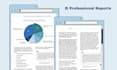 create a professional, personalized layout for your report or ebook