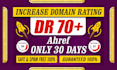 your websites ahrefs dr up to 70 with white hat seo