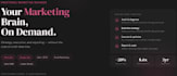 be your fractional marketing manager and grow your business