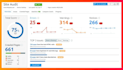 provide a complete SEO audit report with technical issues fixing