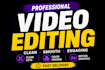 provide professional video editing within 24 hours