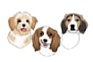 draw your pet into a cartoon vector simple in 24 hours