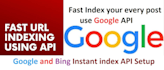 setup instant indexing API  for google bing