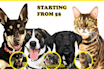draw your pet into realistic vector art