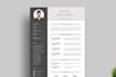 redesign or convert your resume PDF to word and google docs