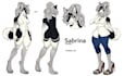 draw furry reference sheet nsfw or sfw