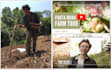 write permaculture related content