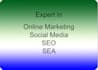 give you a full SEO report made with professional software
