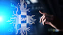 do sap abap development and provide sap consultation