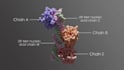 design scientific, medical illustrations and diagrams