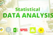 handle statistical data analysis spss, excel, stata, jasp, jmp, power bi