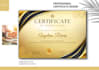 design executive, professional certificates