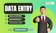 create email lists, data entry, web scraping, custom excel sheets, python