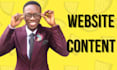 write your website content