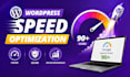 do wordpress speed optimization and fix core web vitals