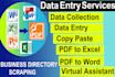 do excel data entry, typing work and copy paste job