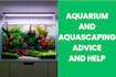 give advice about aquariums, aquascaping, fishes and plants