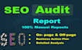 do provide  website SEO audit reporting services