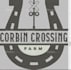 do embroidery logo in a stitch files