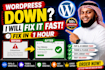 fix wordpress bugs, wordpress errors in 1 hour